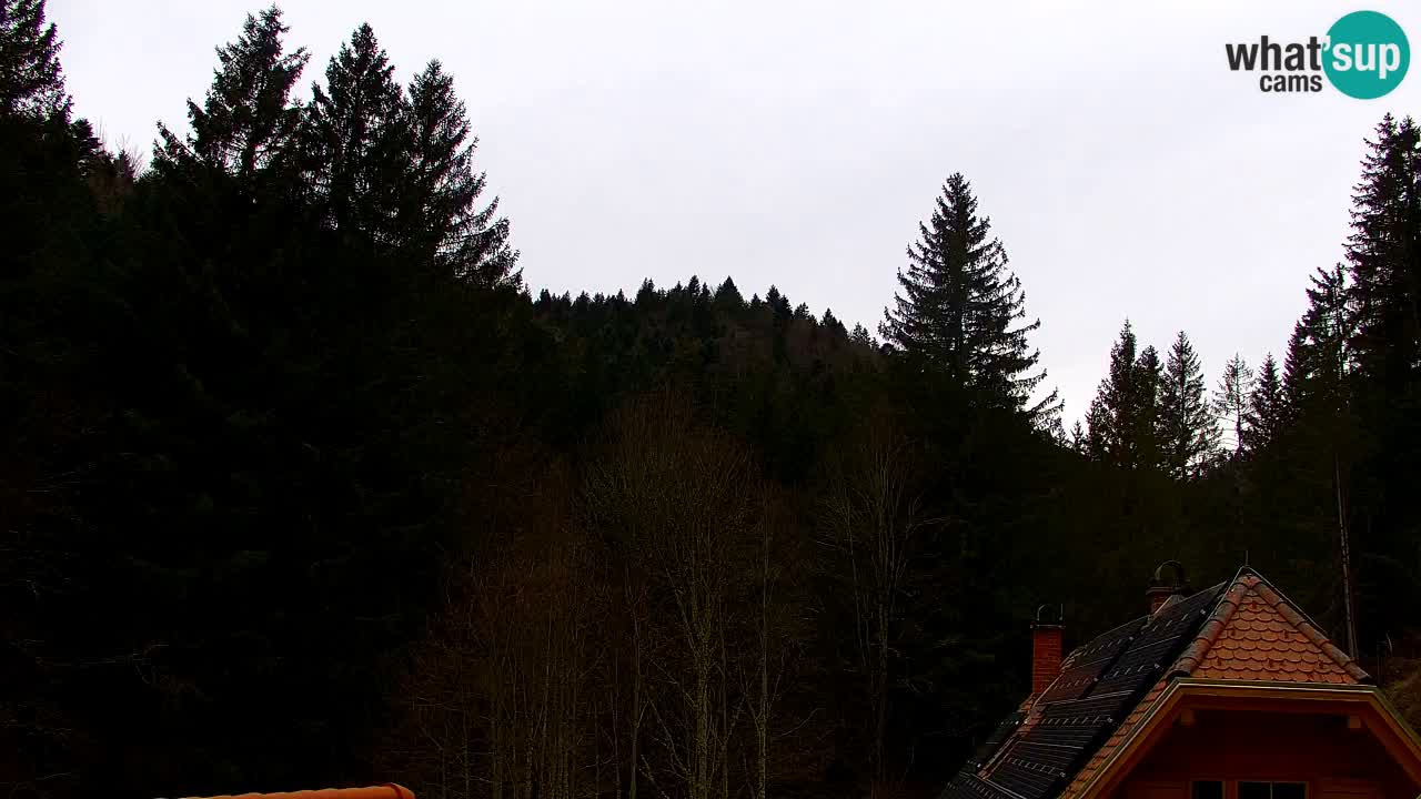 Web kamera Lukanja – Water Village | Pohorje Houses