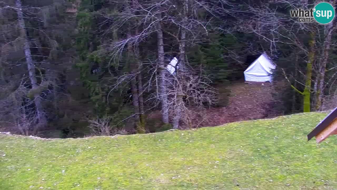 Webcam Lukanja – Pohorje houses a Water village