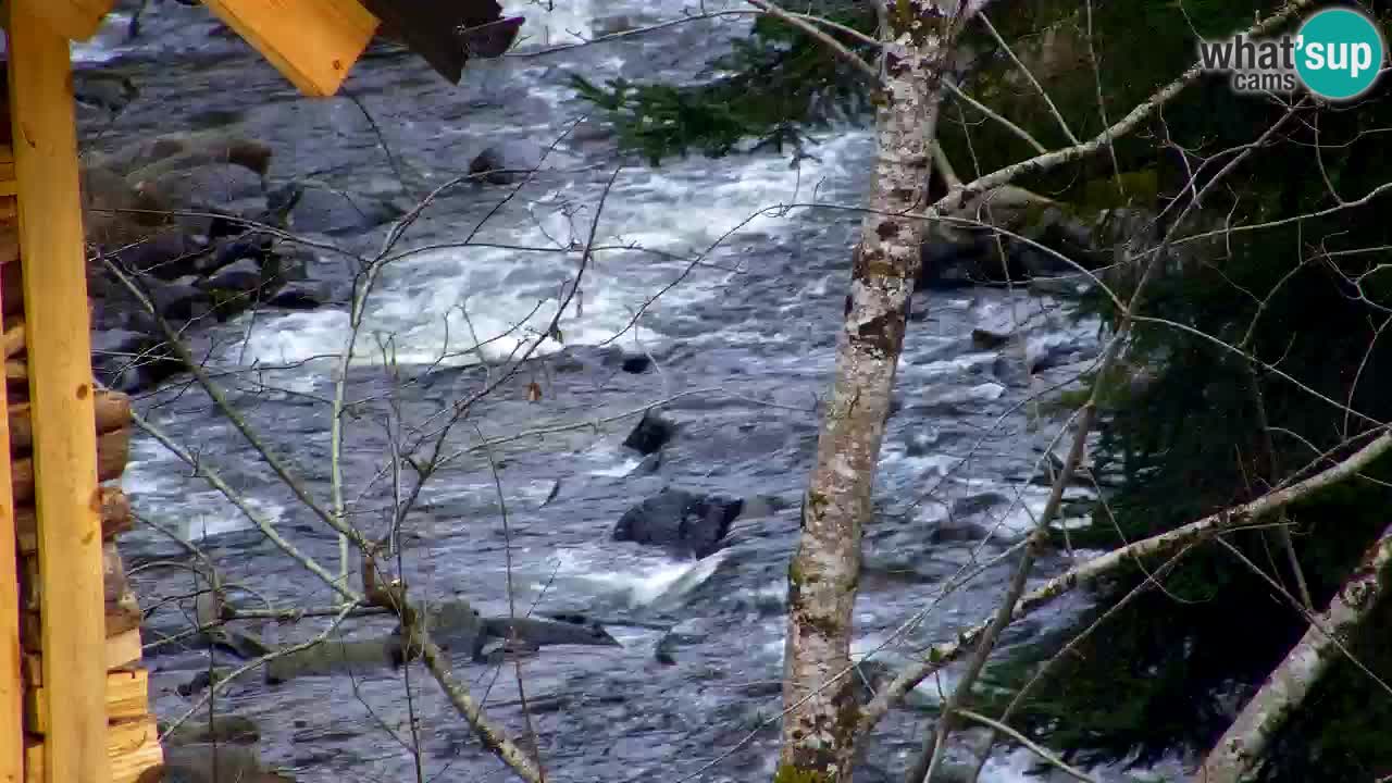 Webcam Lukanja – Water Village | Pohorje Houses