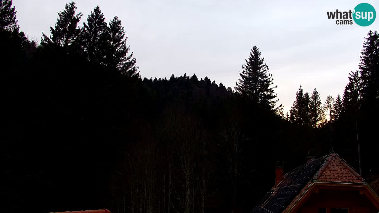 Webcam Lukanja – Water Village | Pohorje Houses