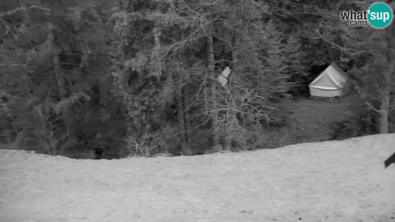 Webcam Lukanja – Water Village | Pohorje Houses