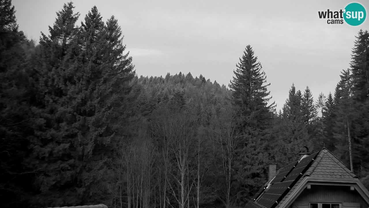 Webcam Lukanja – Water Village | Pohorje Houses