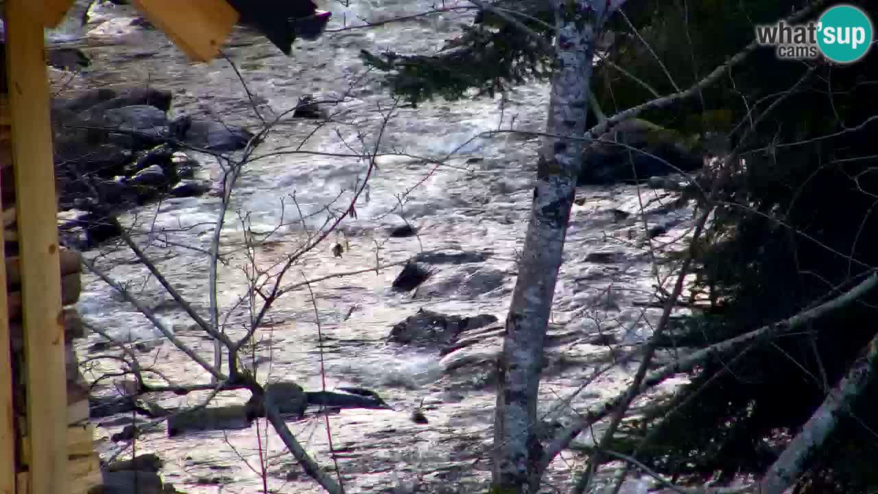 Webcam Lukanja – Pohorje houses a Water village