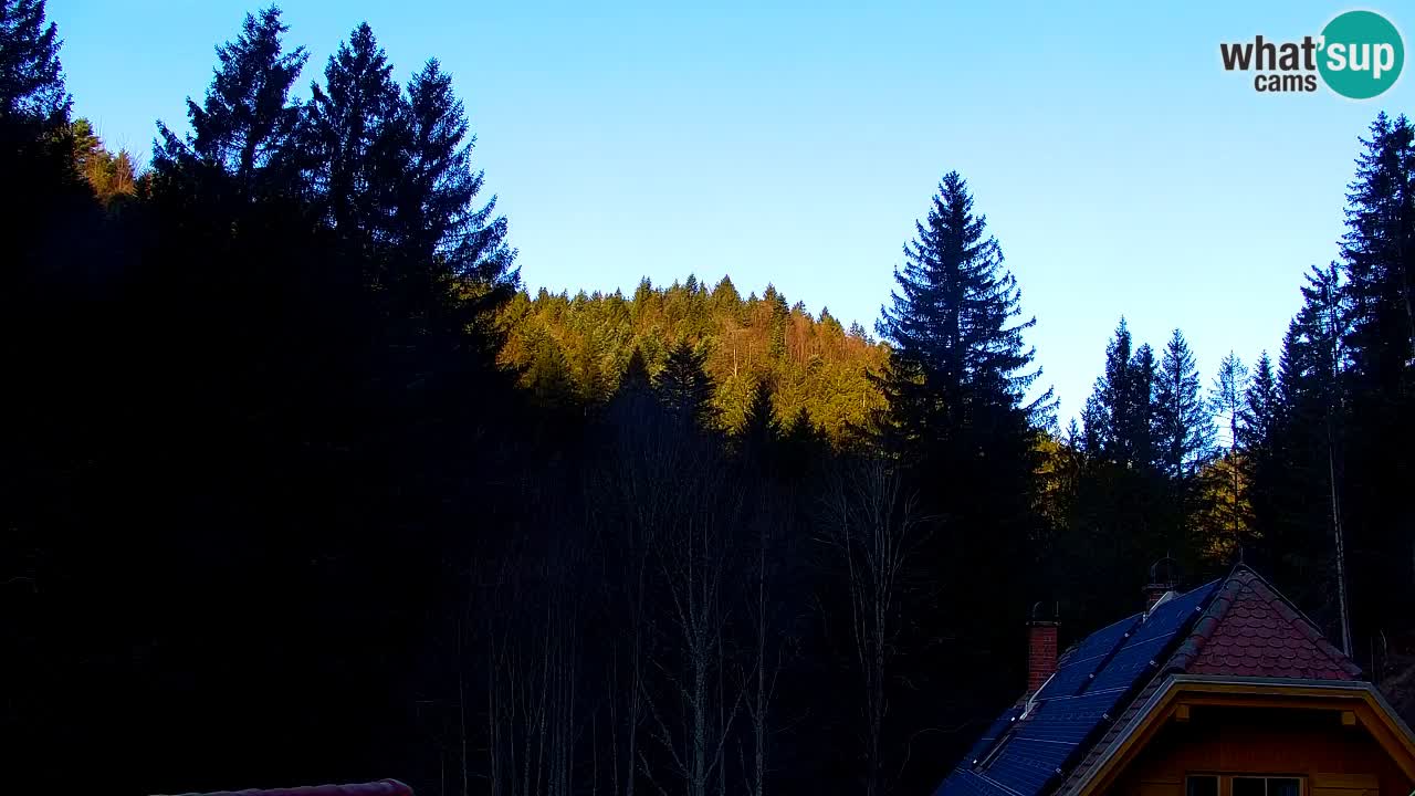 Webcam Lukanja – Water Village | Pohorje Houses