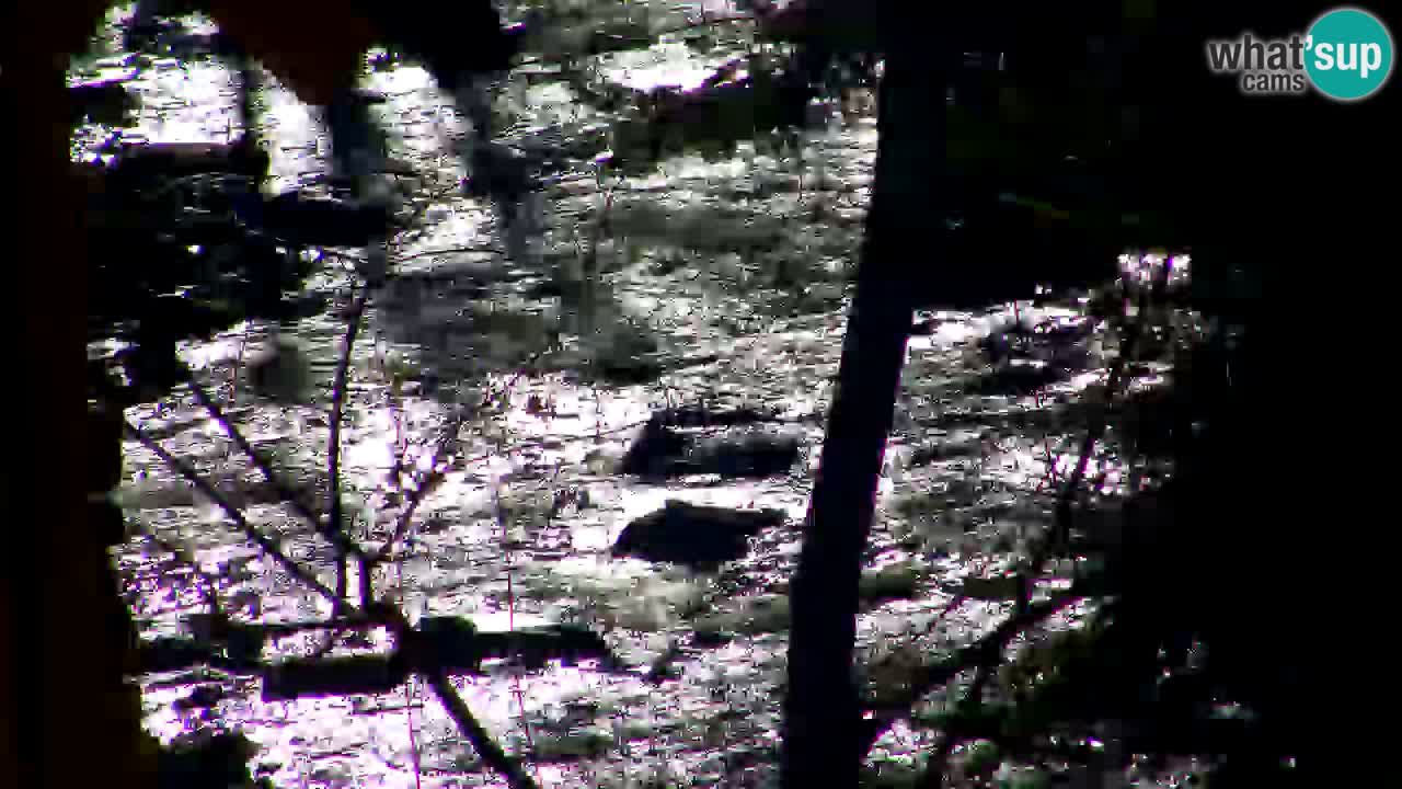 Webcam Lukanja – Water Village | Pohorje Houses