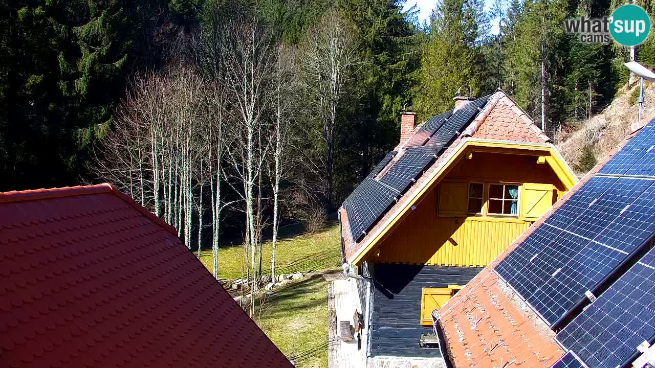 Spletna kamera Lukanja – Water Village | Pohorje Houses