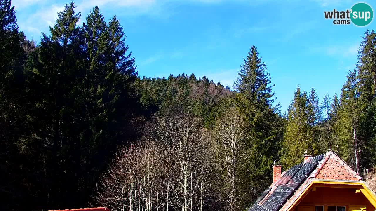 Webcam Lukanja – Pohorje houses a Water village