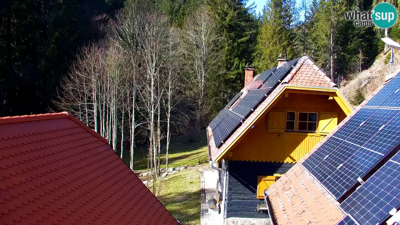 Webcam Lukanja – Water Village | Pohorje Houses