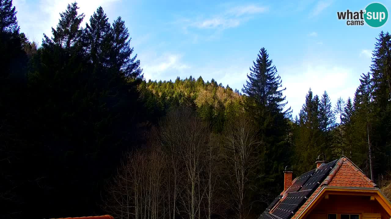 Spletna kamera Lukanja – Water Village | Pohorje Houses