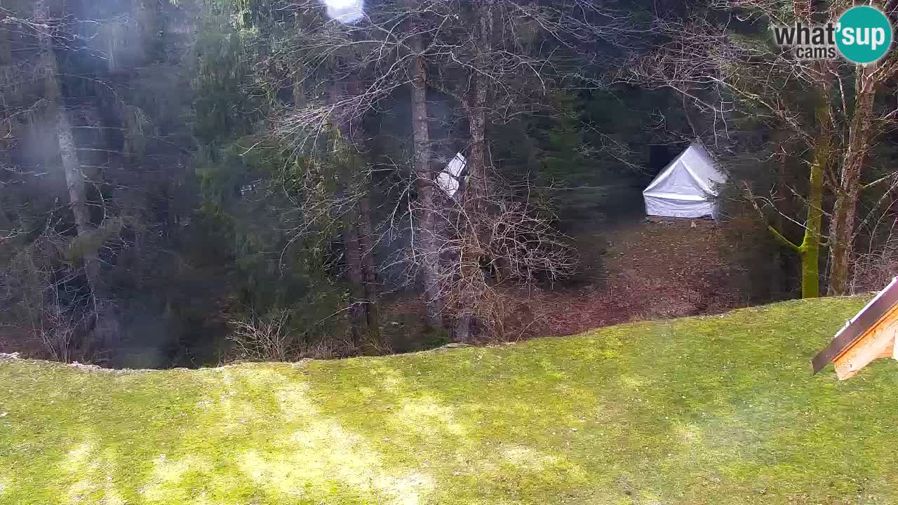 Webcam Lukanja – Water Village | Pohorje Houses