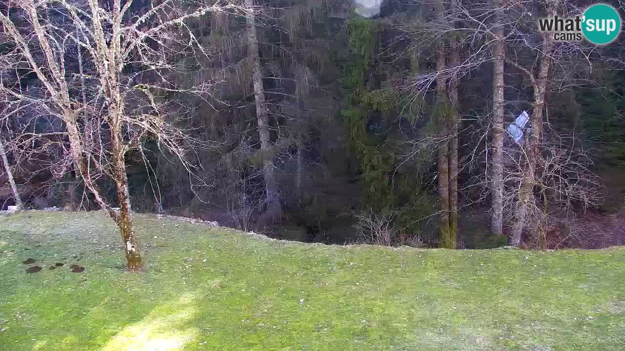 Webcam Lukanja – Pohorje houses a Water village