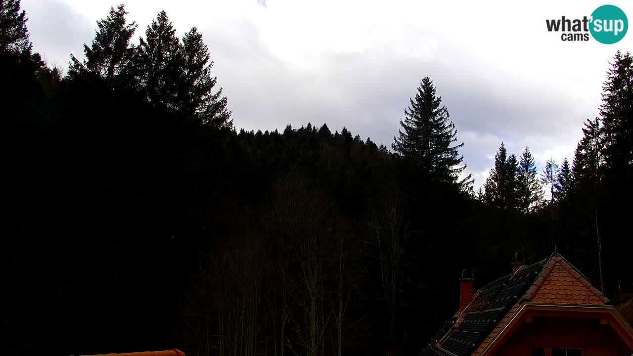 Web kamera Lukanja – Water Village | Pohorje Houses