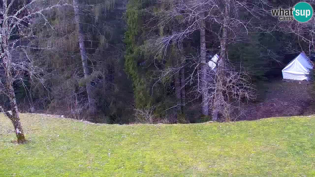 Web kamera Lukanja – Water Village | Pohorje Houses