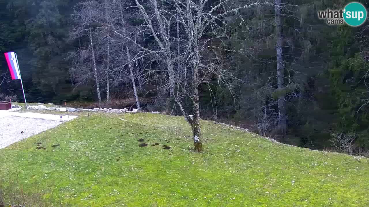 Webcam Lukanja – Water Village | Pohorje Houses