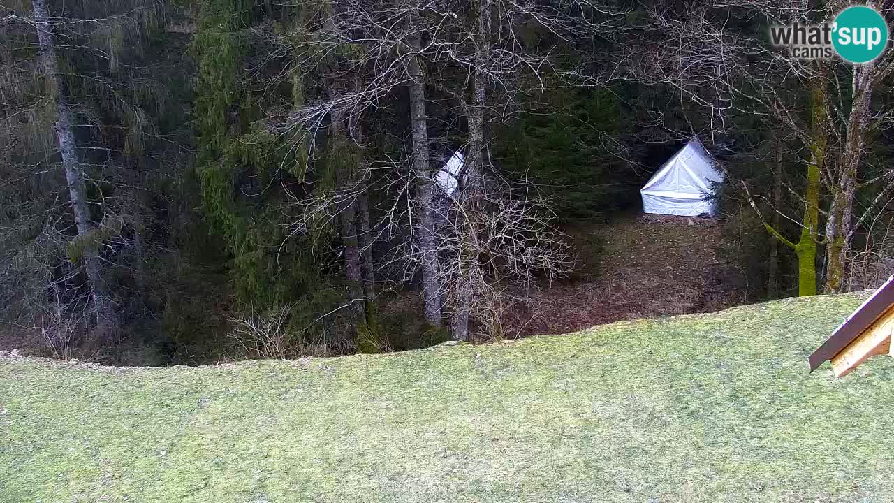 Web kamera Lukanja – Water Village | Pohorje Houses