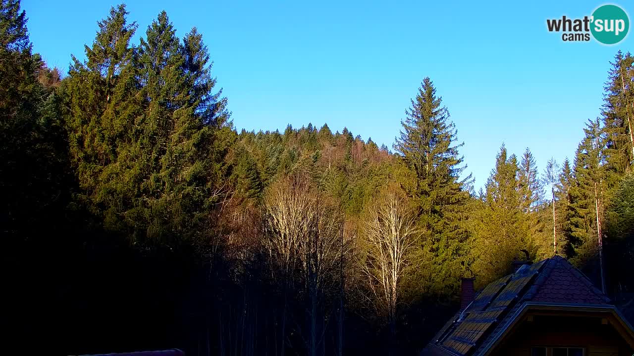 Webcam Lukanja – Water Village | Pohorje Houses