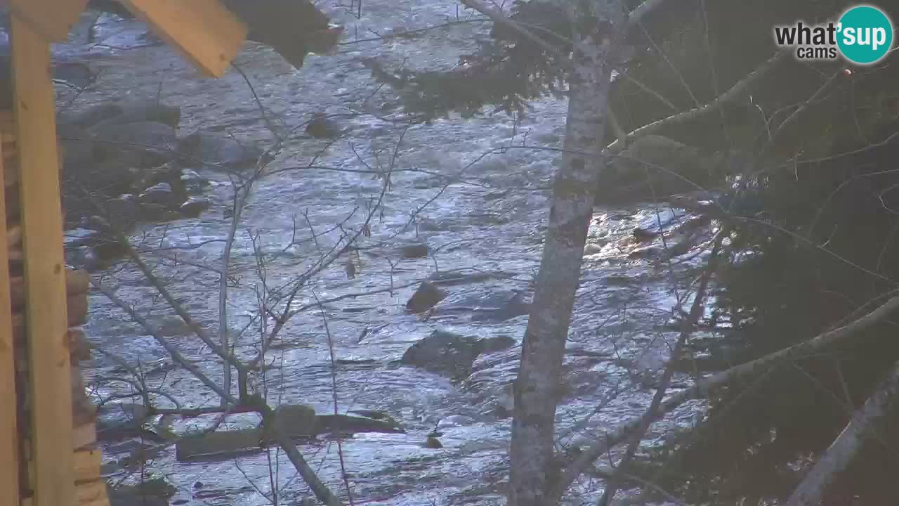 Webcam Lukanja – Pohorje houses a Water village