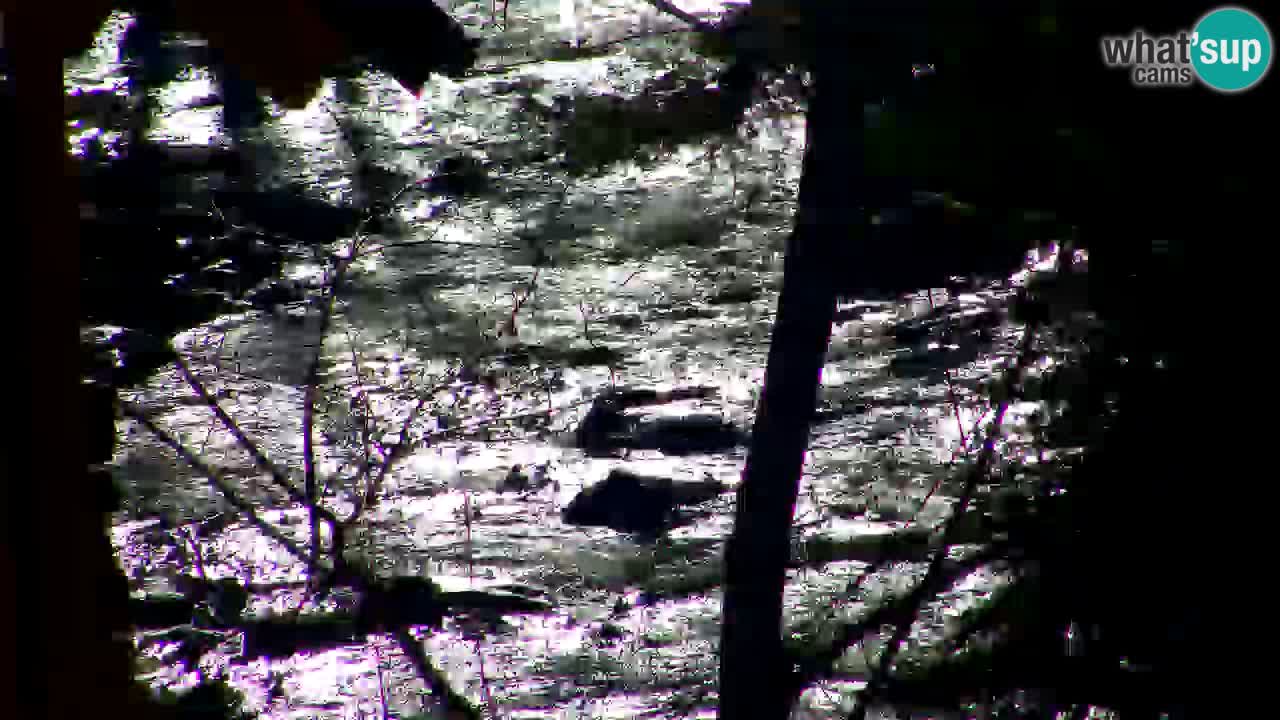 Webcam Lukanja – Water Village | Pohorje Houses