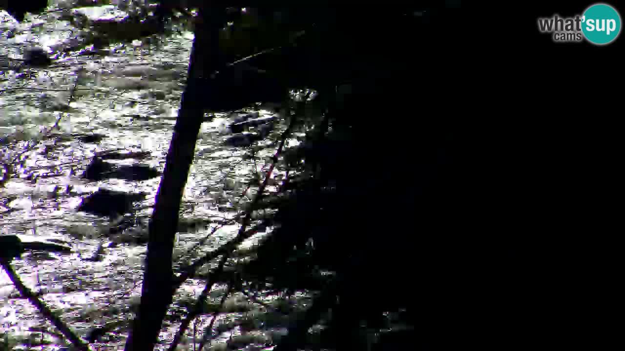 Webcam Lukanja – Water Village | Pohorje Houses