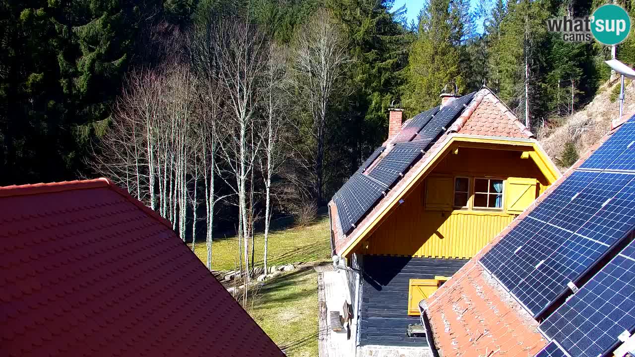 Webcam Lukanja – Water Village | Pohorje Houses