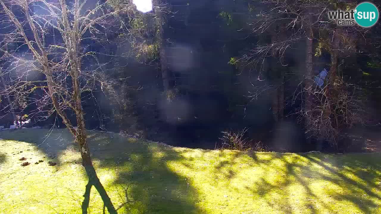 Webcam Lukanja – Pohorje houses a Water village