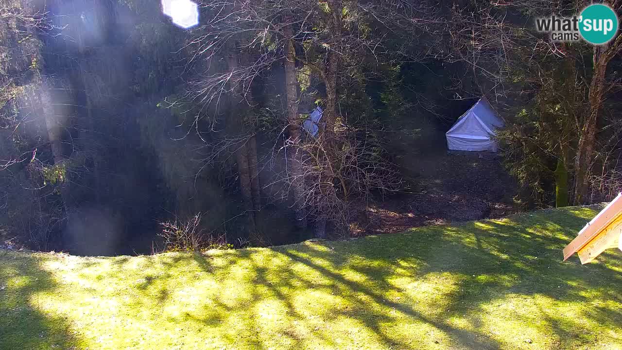 Webcam Lukanja – Water Village | Pohorje Houses