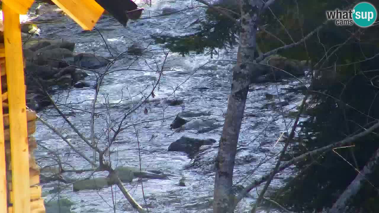 Webcam Lukanja – Pohorje houses a Water village