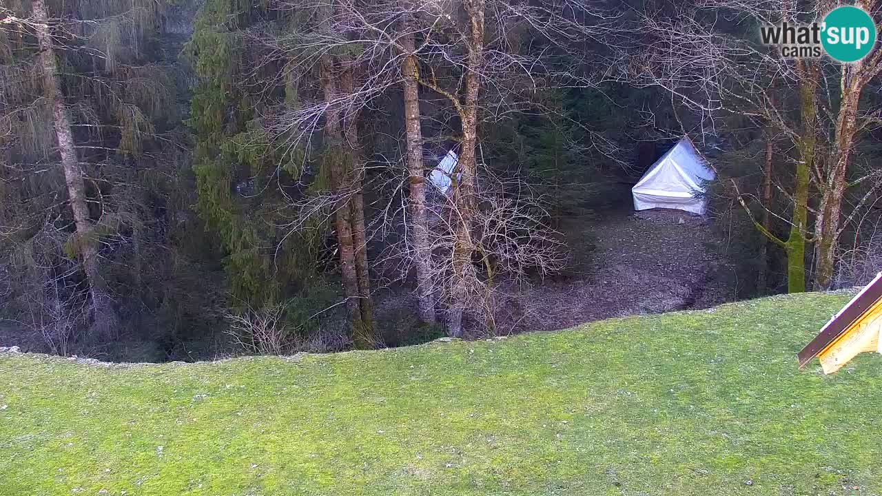 Webcam Lukanja – Water Village | Pohorje Houses