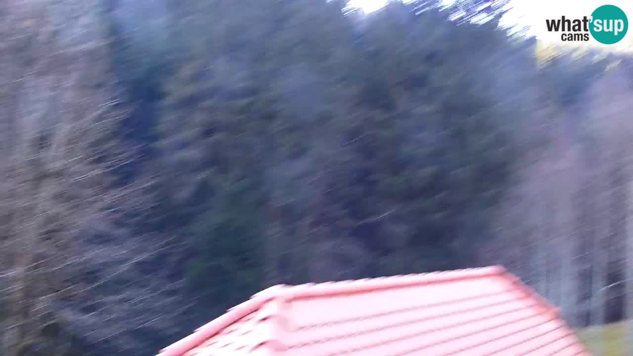 Webcam Lukanja – Water Village | Pohorje Houses