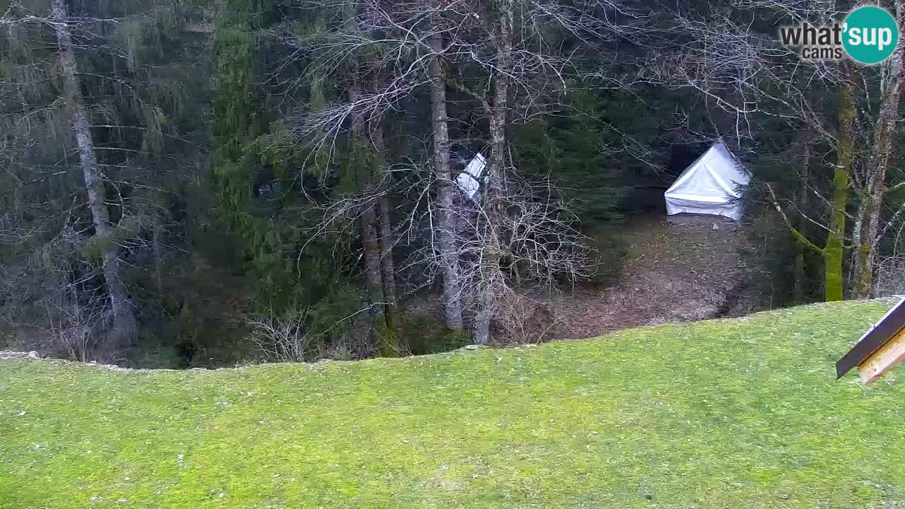 Webcam Lukanja – Pohorje houses a Water village