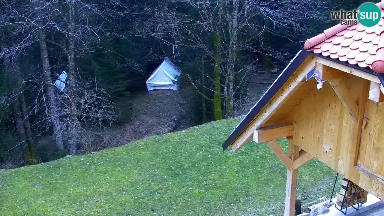 Webcam Lukanja – Water Village | Pohorje Houses