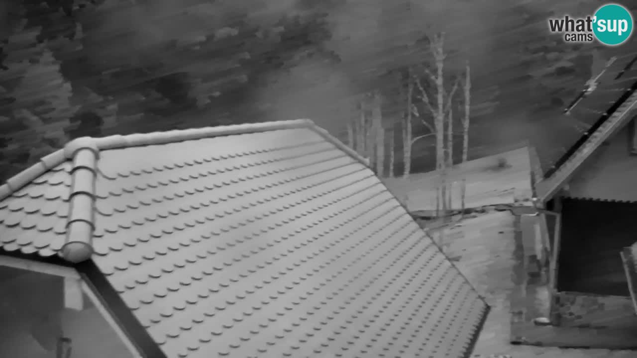 Webcam Lukanja – Pohorje houses a Water village