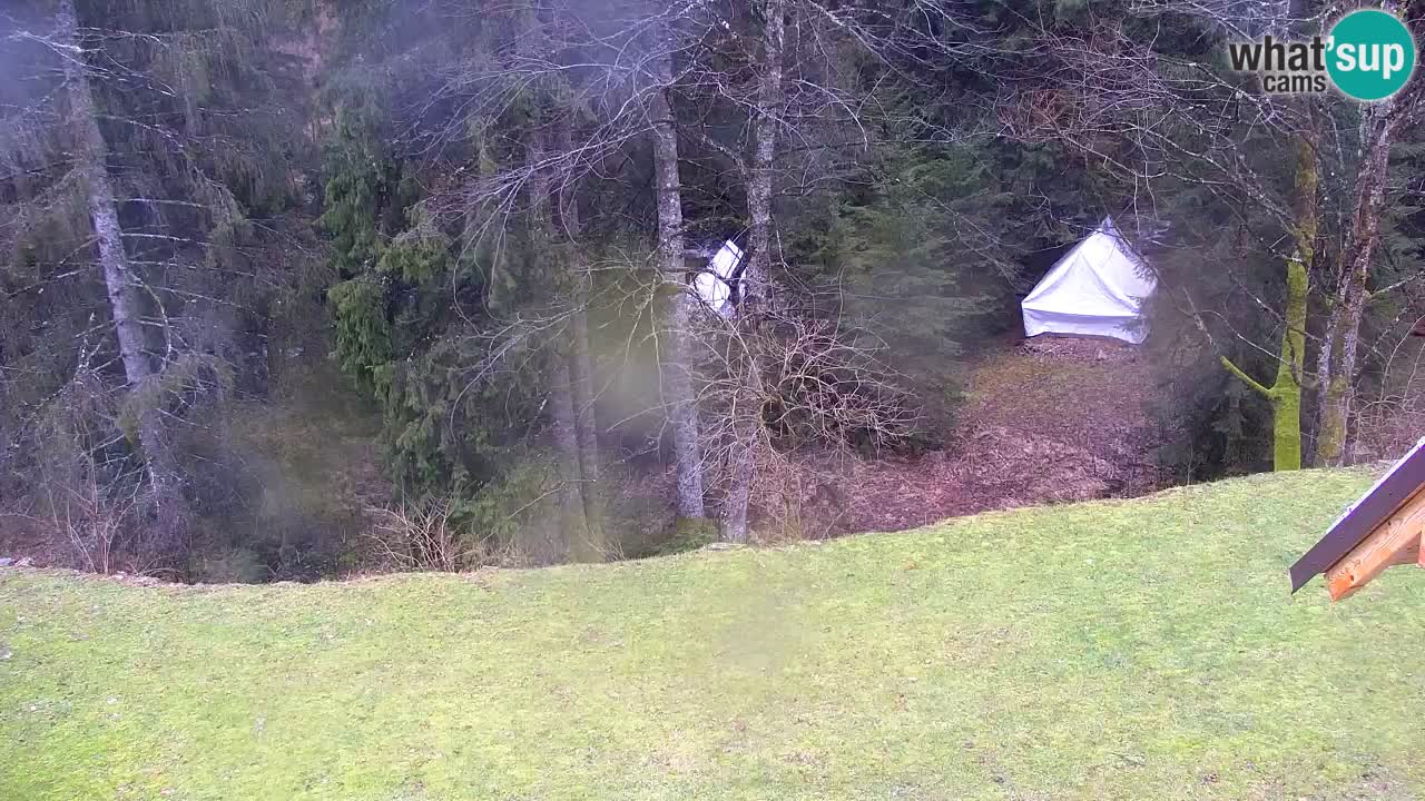 Webcam Lukanja – Water Village | Pohorje Houses