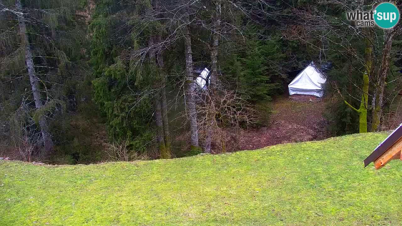 Webcam Lukanja – Water Village | Pohorje Houses