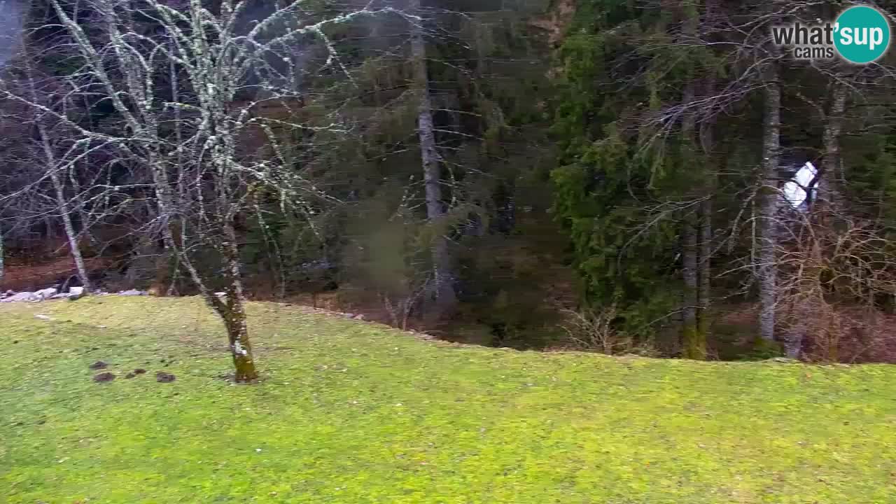 Webcam Lukanja – Water Village | Pohorje Houses