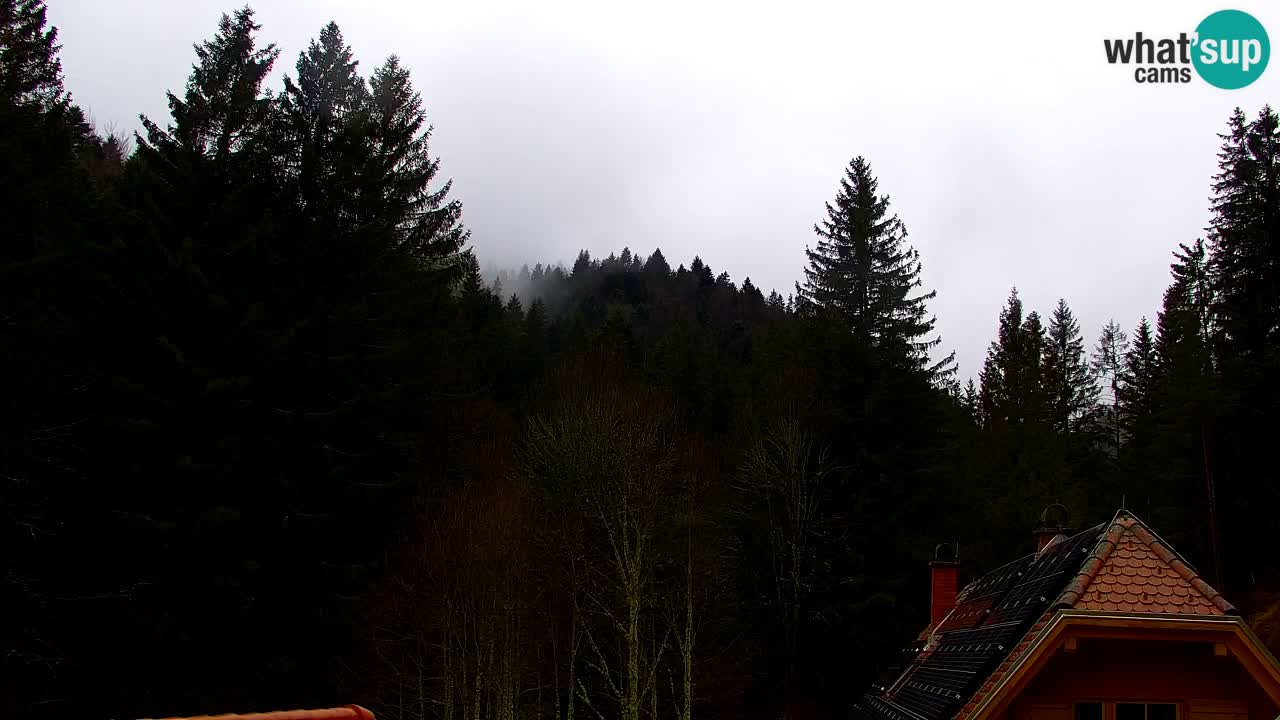 Webcam Lukanja – Pohorje houses a Water village