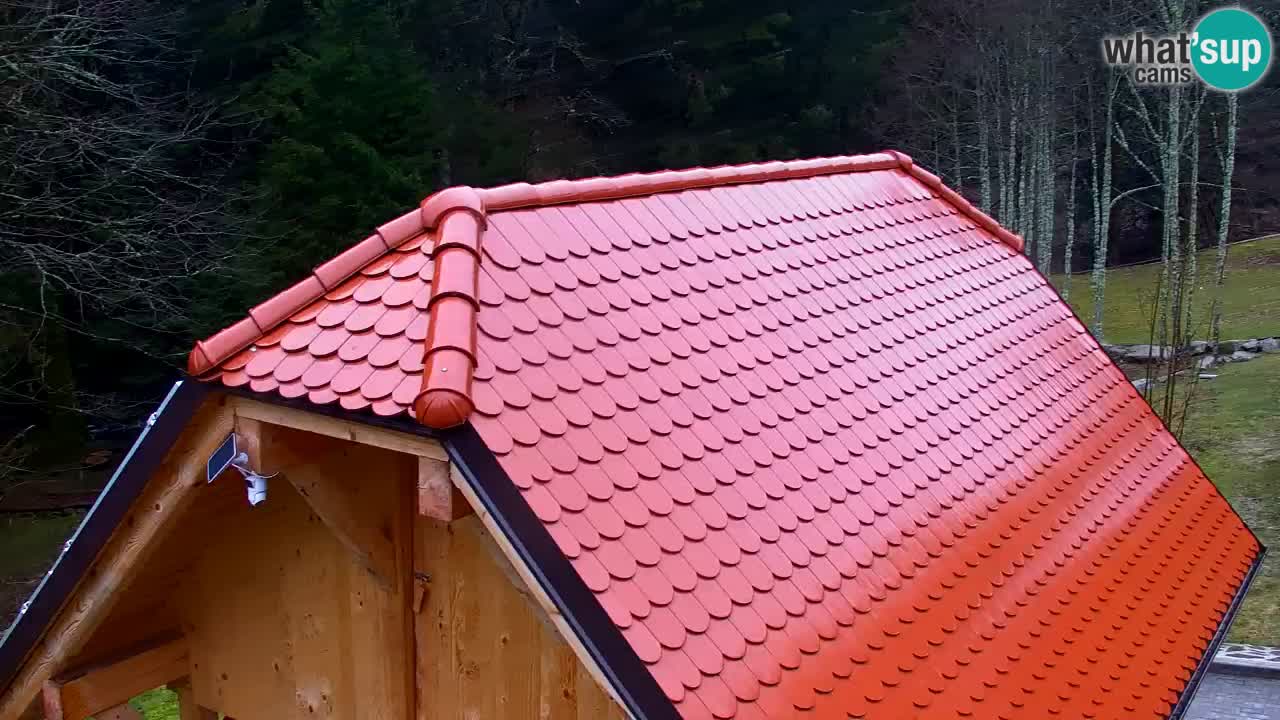 Spletna kamera Lukanja – Water Village | Pohorje Houses