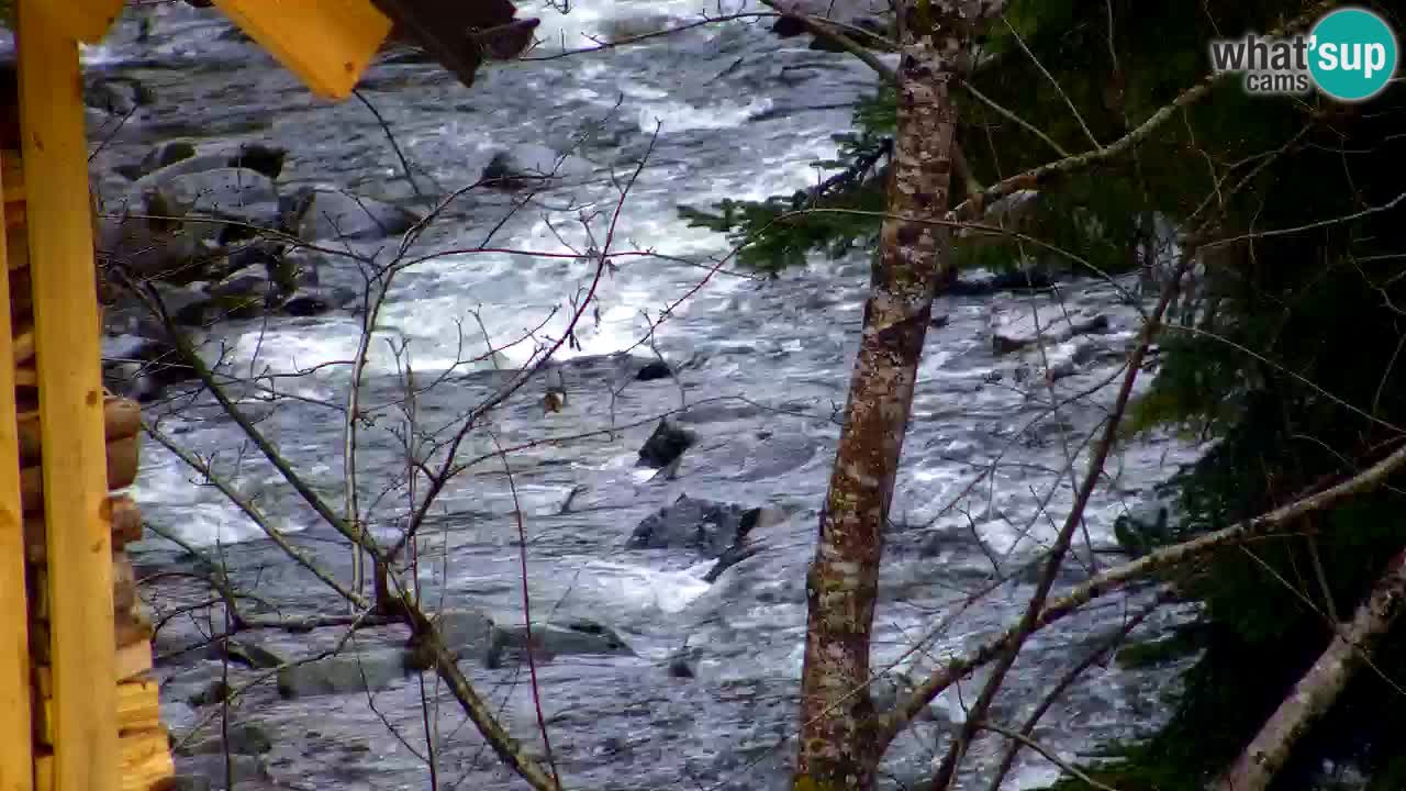 Webcam Lukanja – Pohorje houses a Water village