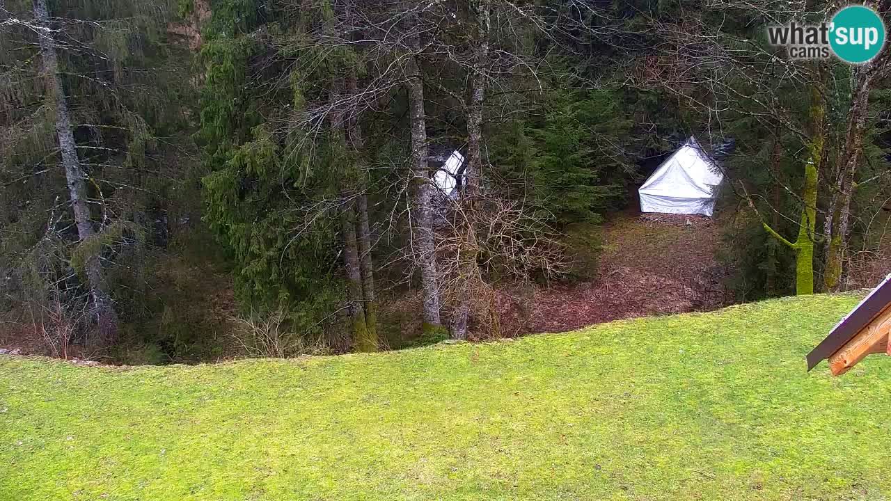 Webcam Lukanja – Water Village | Pohorje Houses