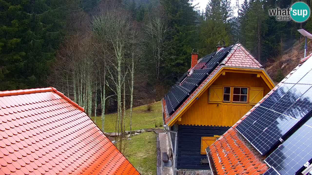 Webcam Lukanja – Water Village | Pohorje Houses