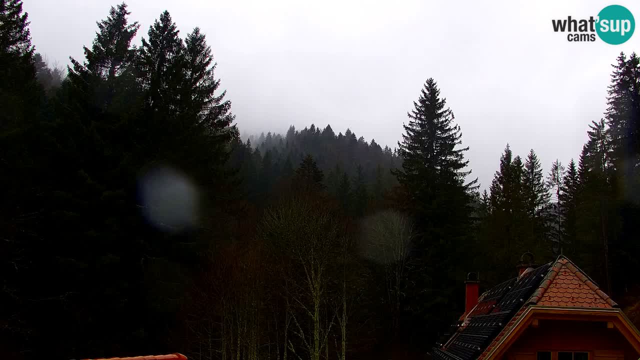 Webcam Lukanja – Water Village | Pohorje Houses