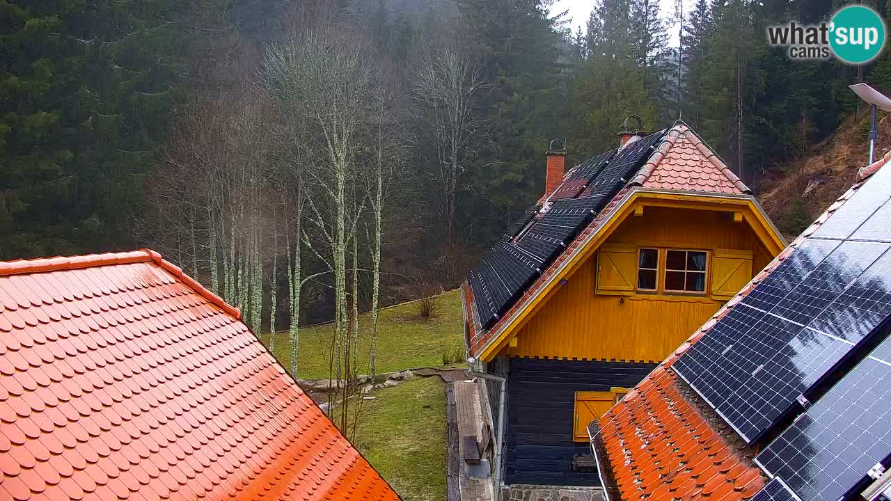 Webcam Lukanja – Water Village | Pohorje Houses