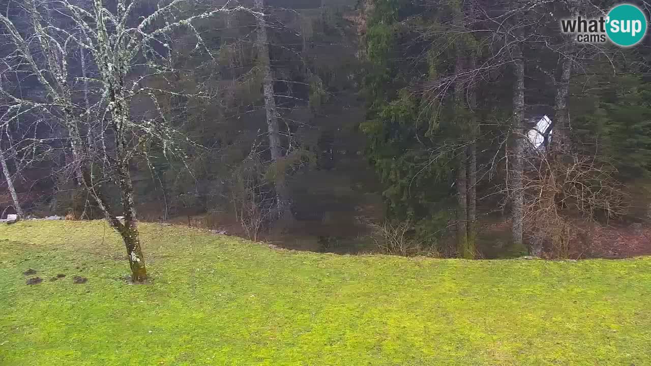 Web kamera Lukanja – Water Village | Pohorje Houses