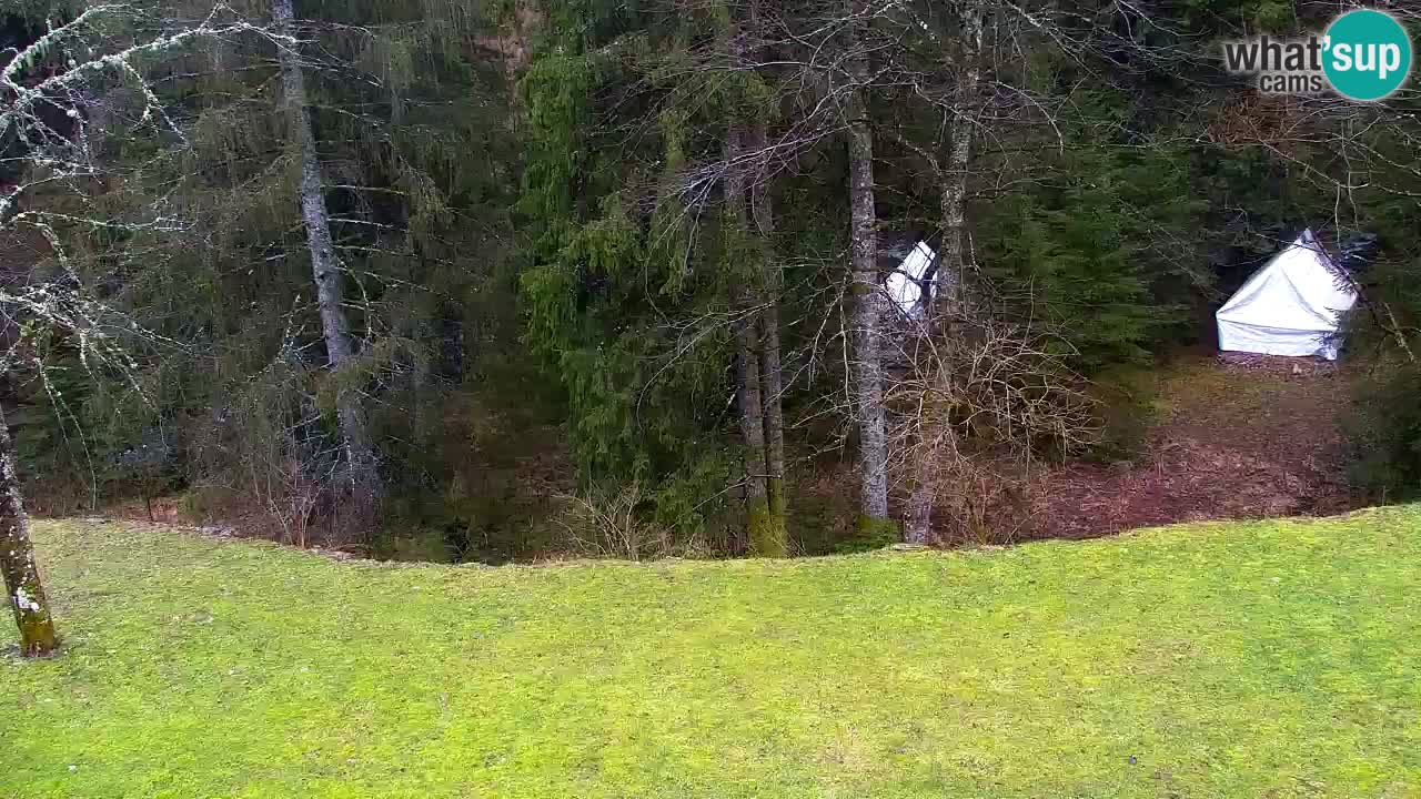 Webcam Lukanja – Water Village | Pohorje Houses