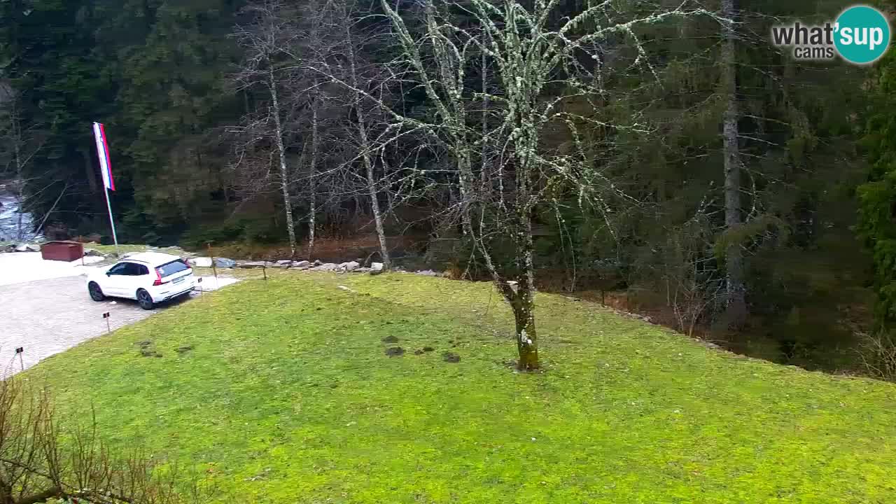 Webcam Lukanja – Water Village | Pohorje Houses