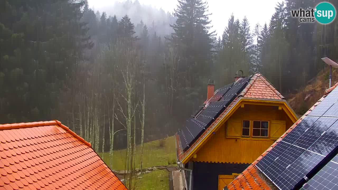 Webcam Lukanja – Pohorje houses a Water village