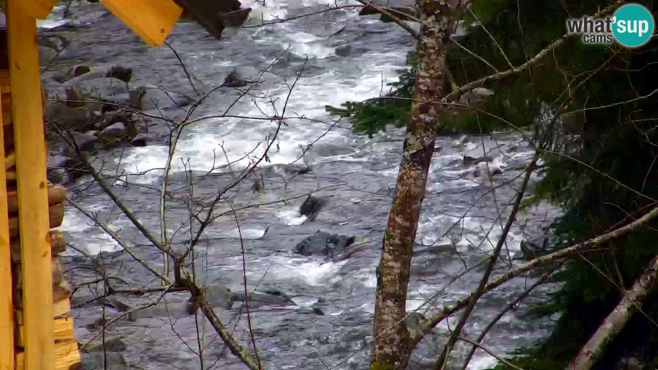 Webcam Lukanja – Pohorje houses a Water village