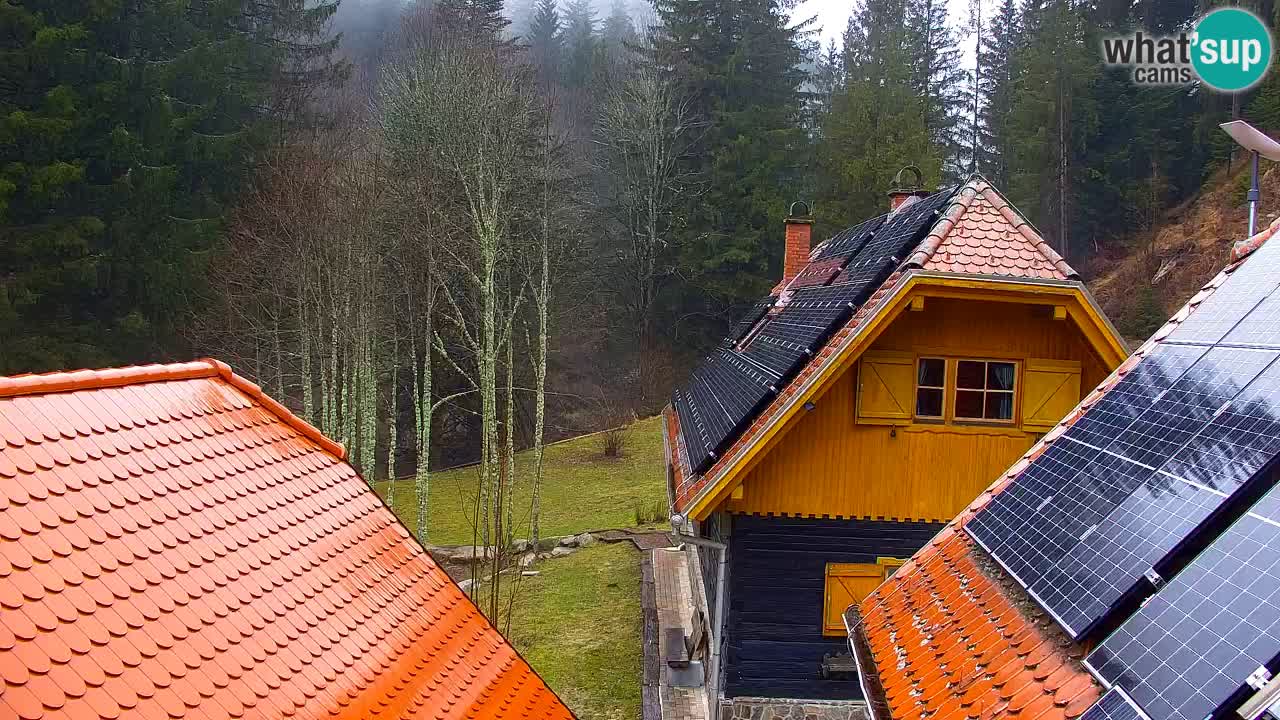 Webcam Lukanja – Pohorje houses a Water village