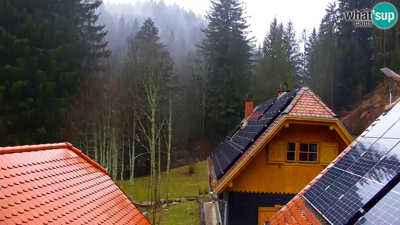 Webcam Lukanja – Pohorje houses a Water village