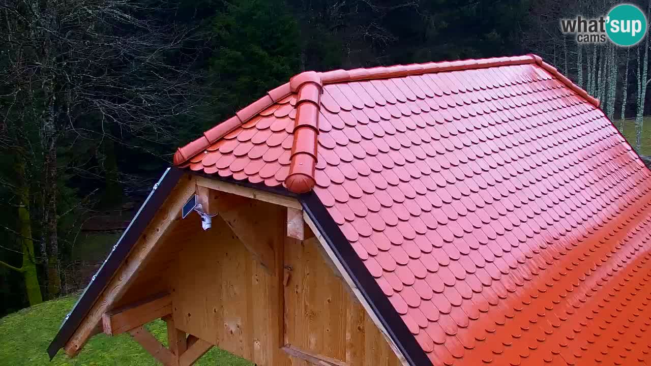 Webcam Lukanja – Pohorje houses a Water village